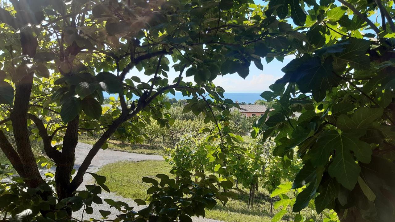 Apartma Tul Izola Zewnętrze zdjęcie