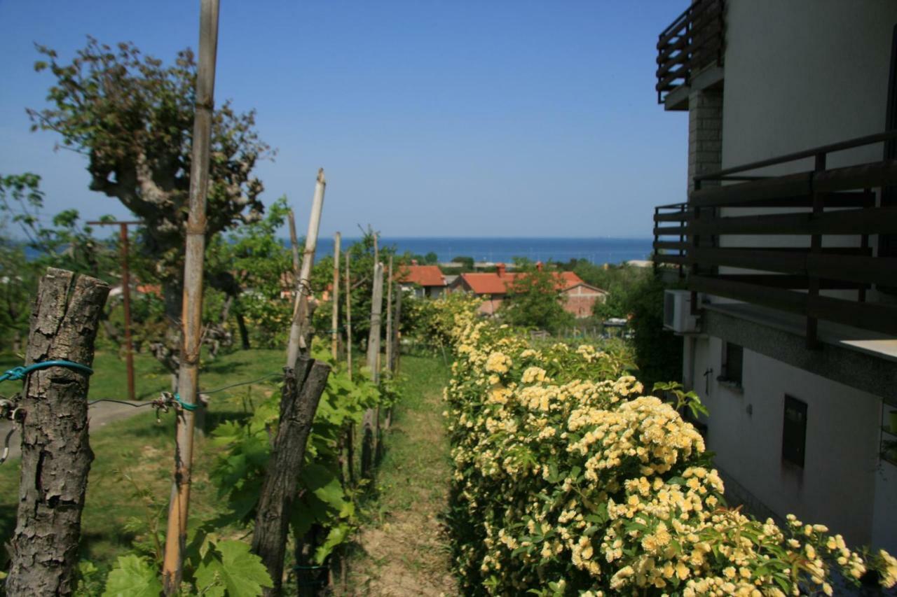 Apartma Tul Izola Zewnętrze zdjęcie