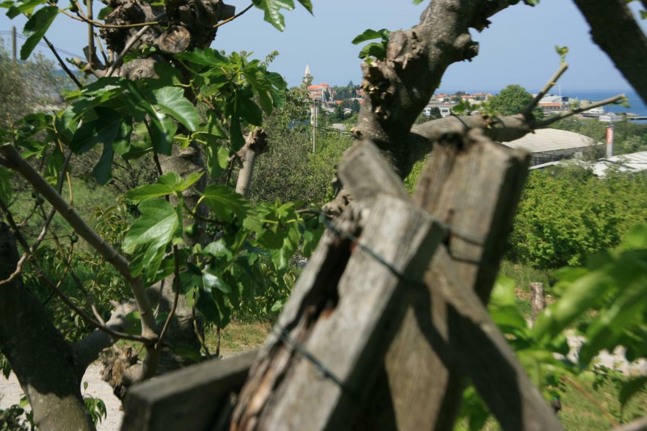 Apartma Tul Izola Zewnętrze zdjęcie